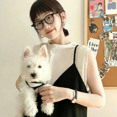 小鸟总动员